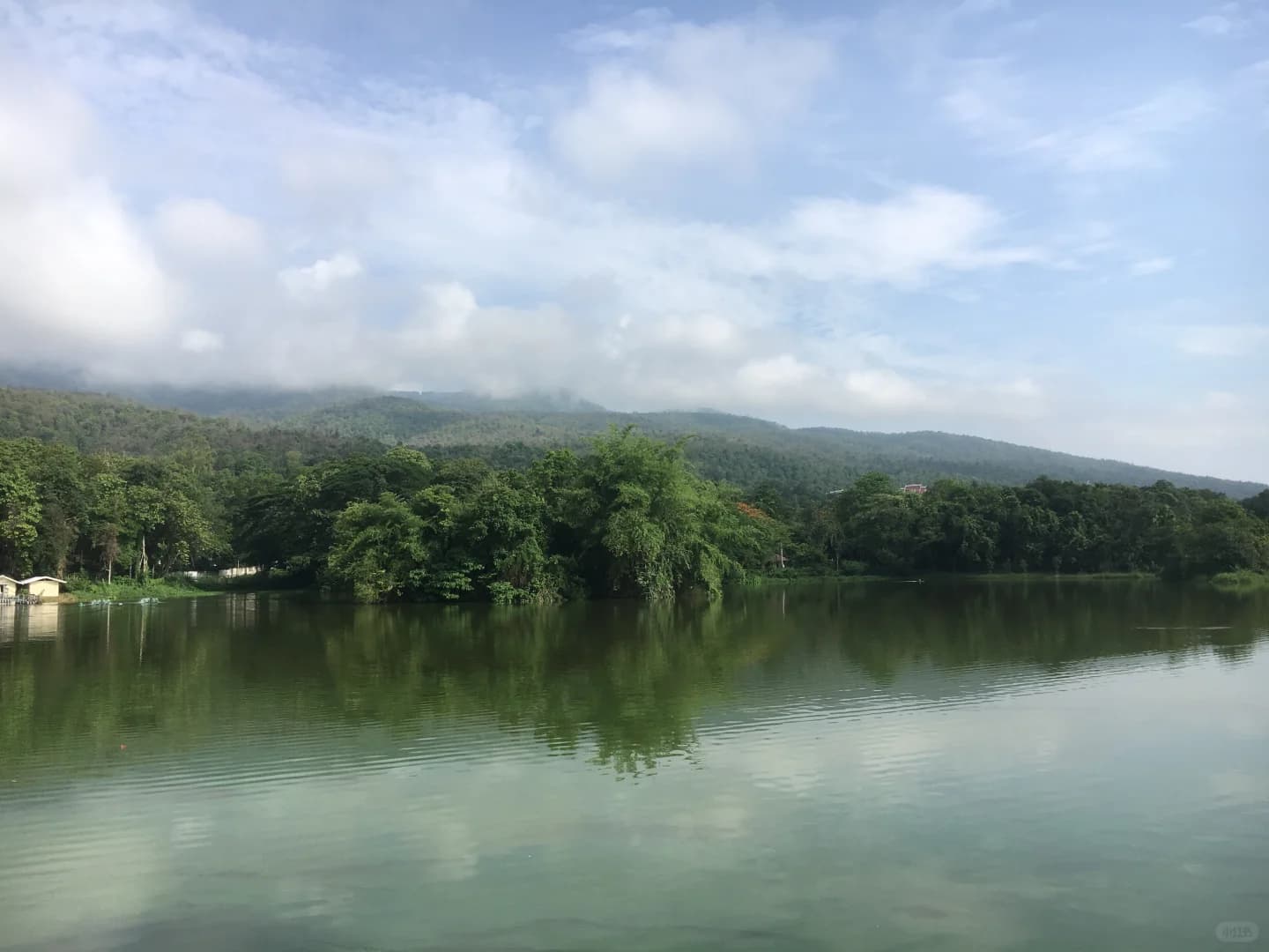 泰北清迈慢游记✨藏在山林古寺里的温柔时光封面图