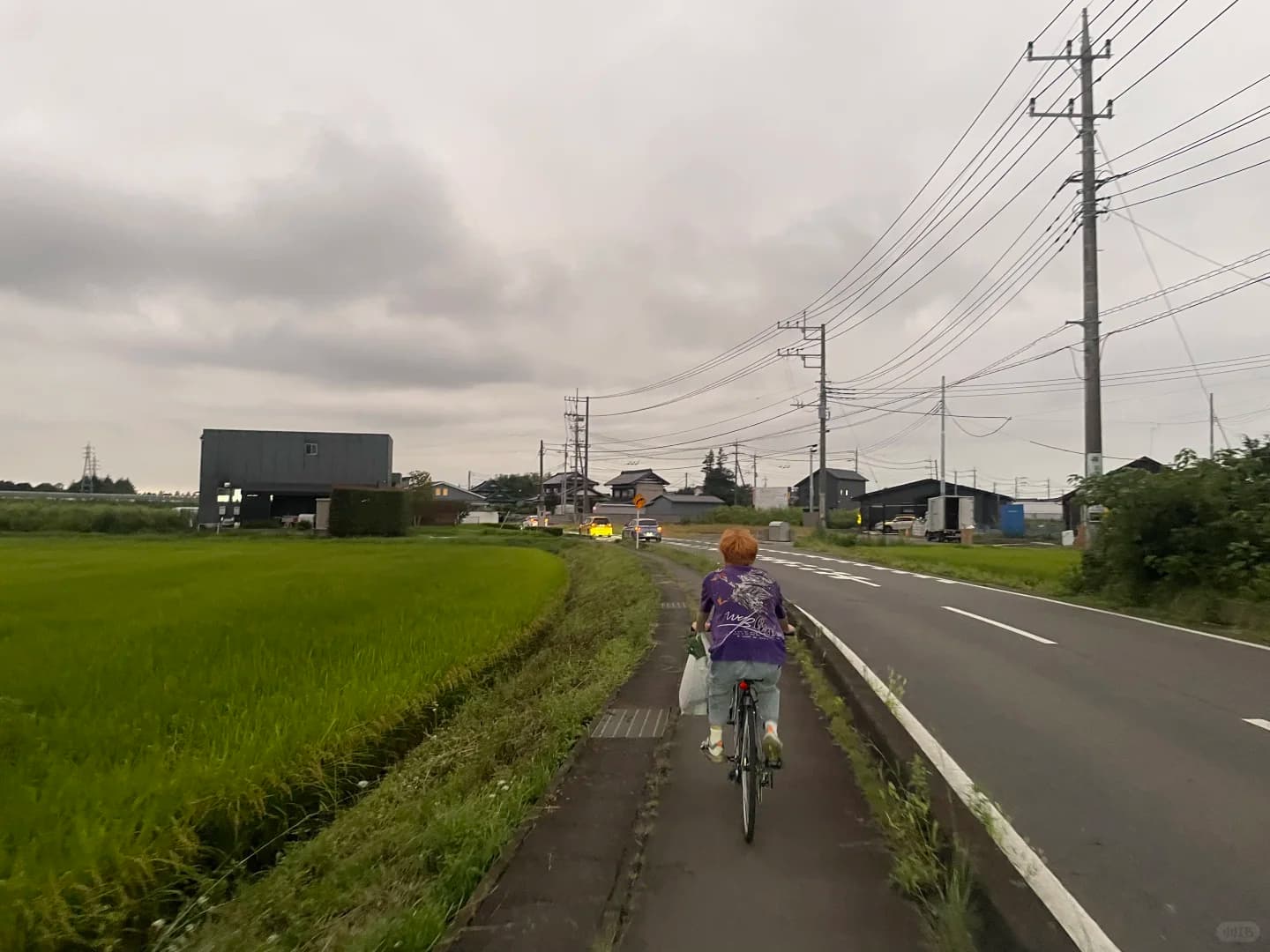 花了一万多,耗时半年来岛国🇯🇵进厂封面图