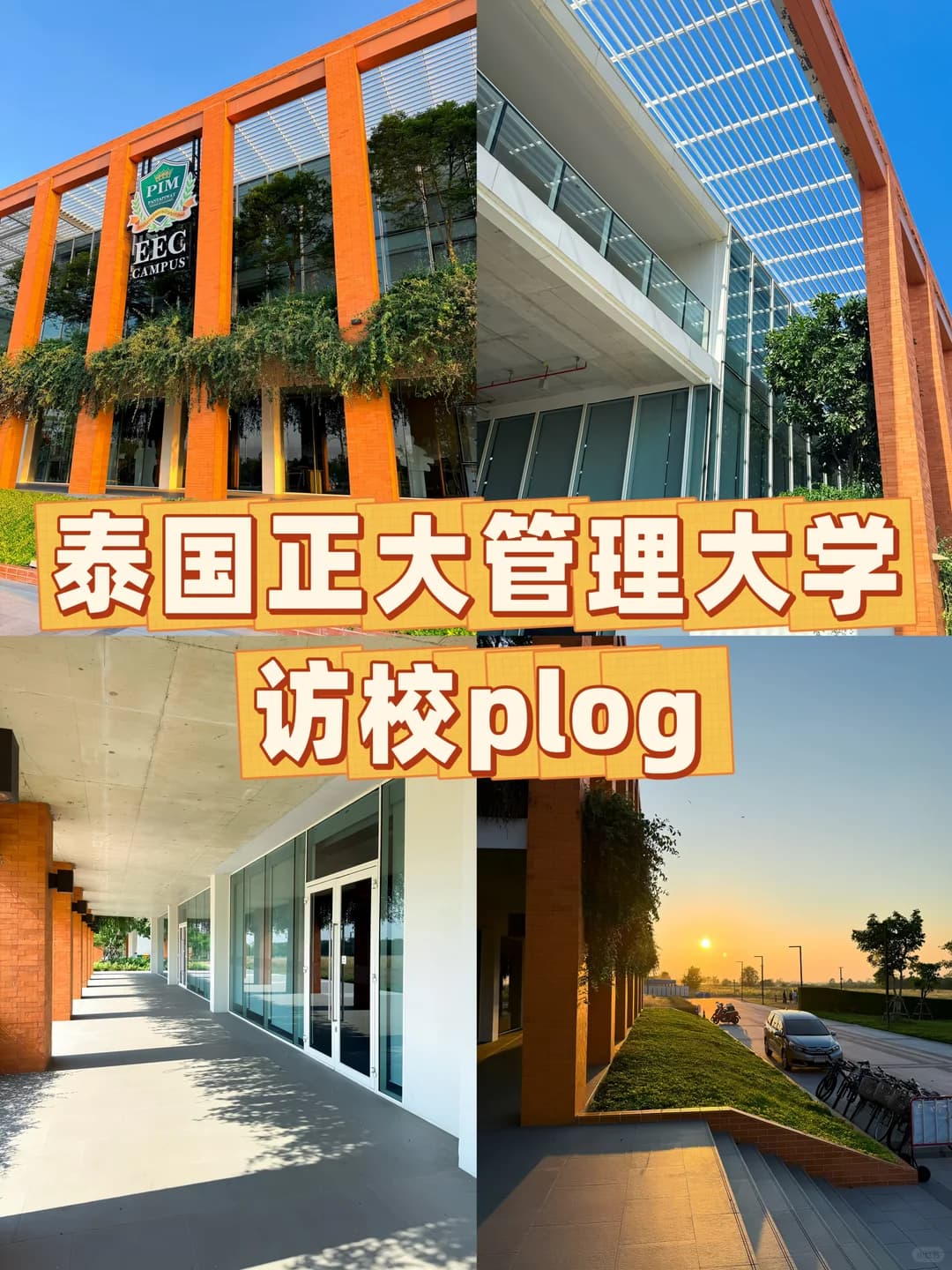 泰国这所大学真的让我羡慕了封面图