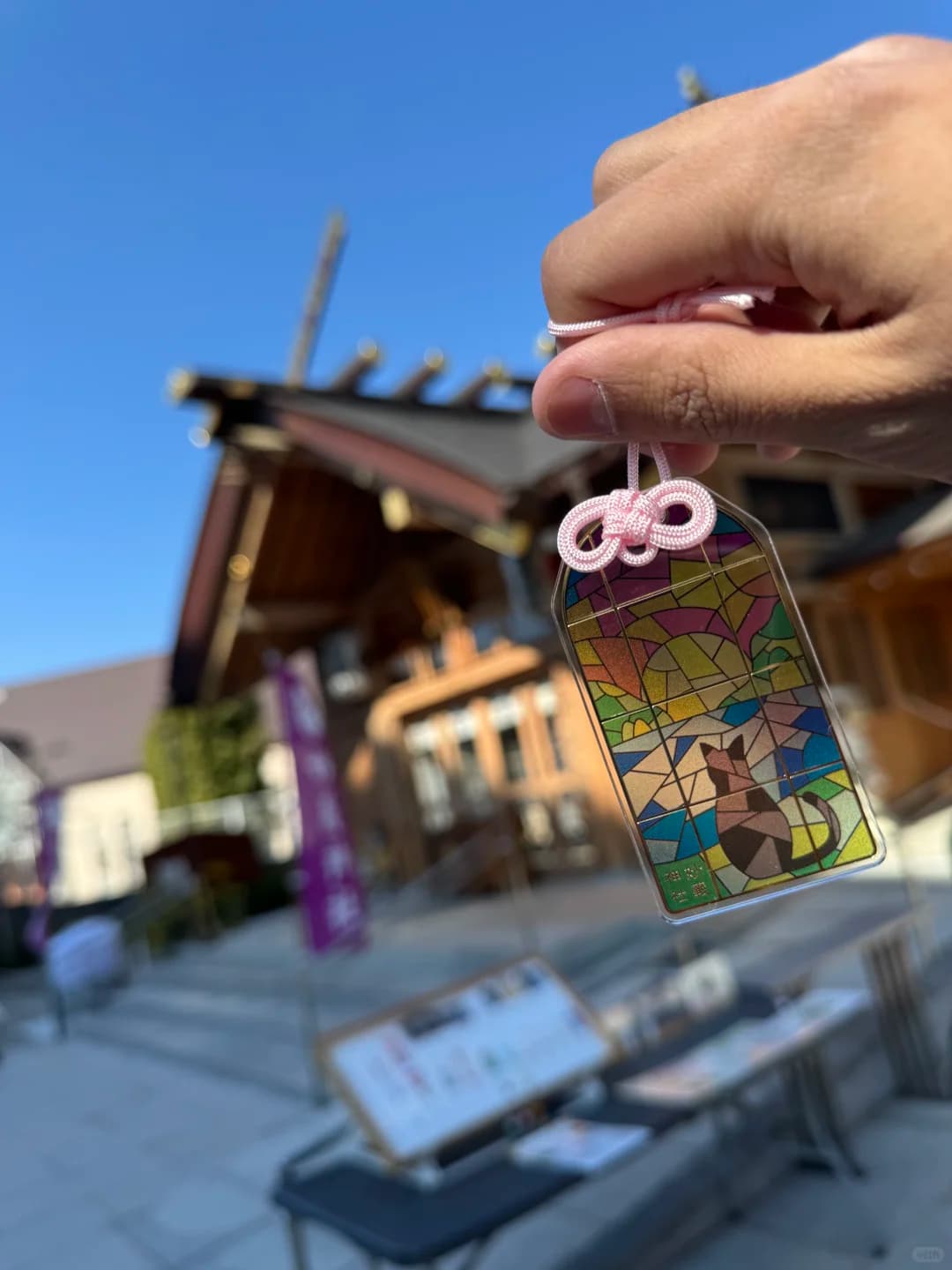 ⛩️ 去了东京猫猫神社 还摸到了猫住持封面图