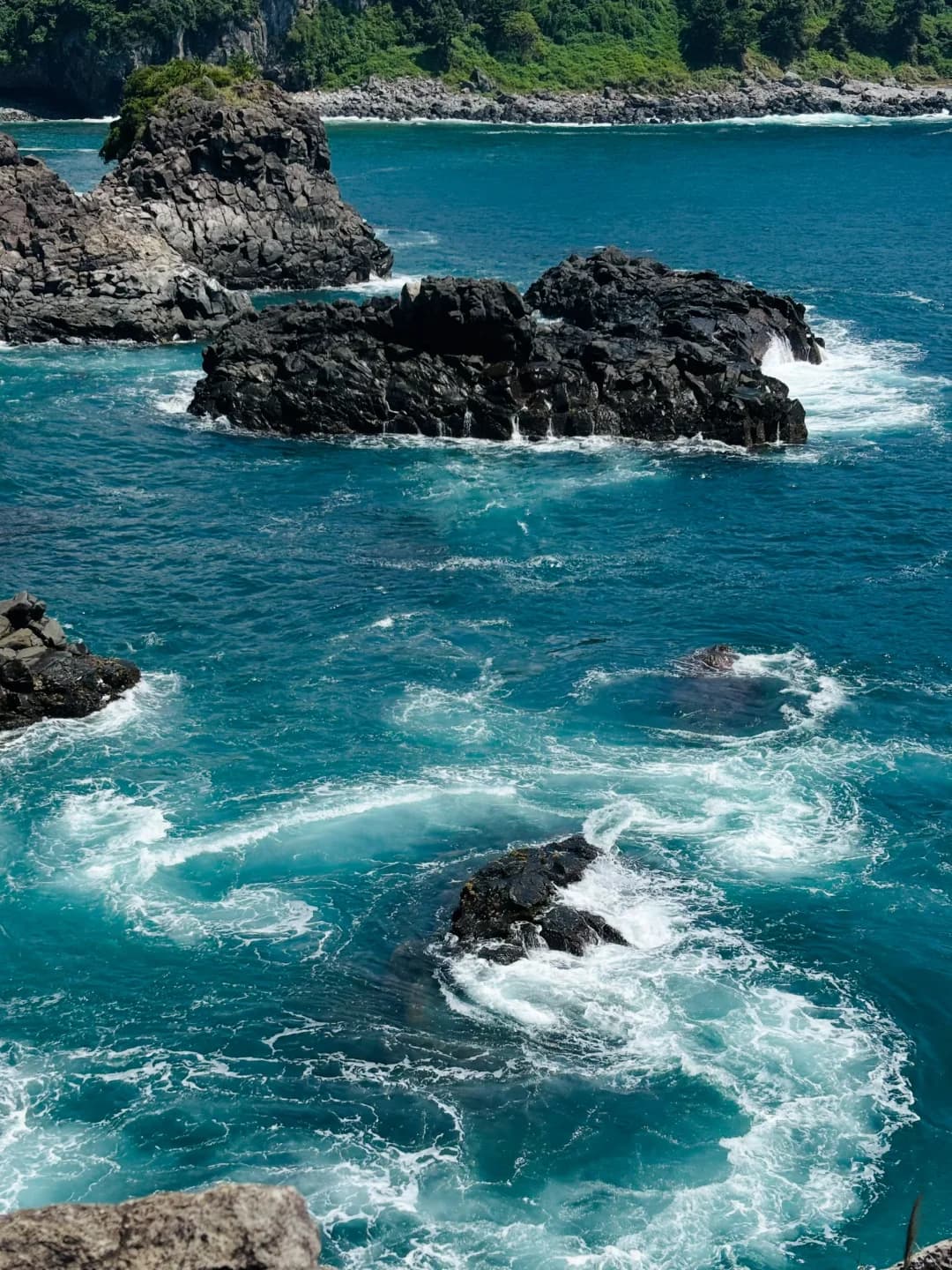 济州岛🏝️4天3晚🌊封面图