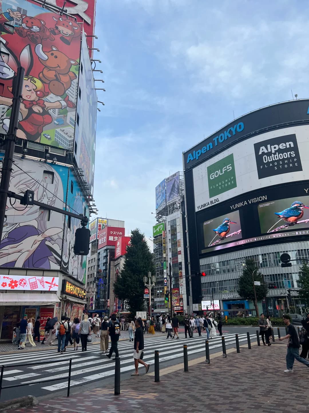 当初为逃离人情世故来日本,结果华人同事…封面图