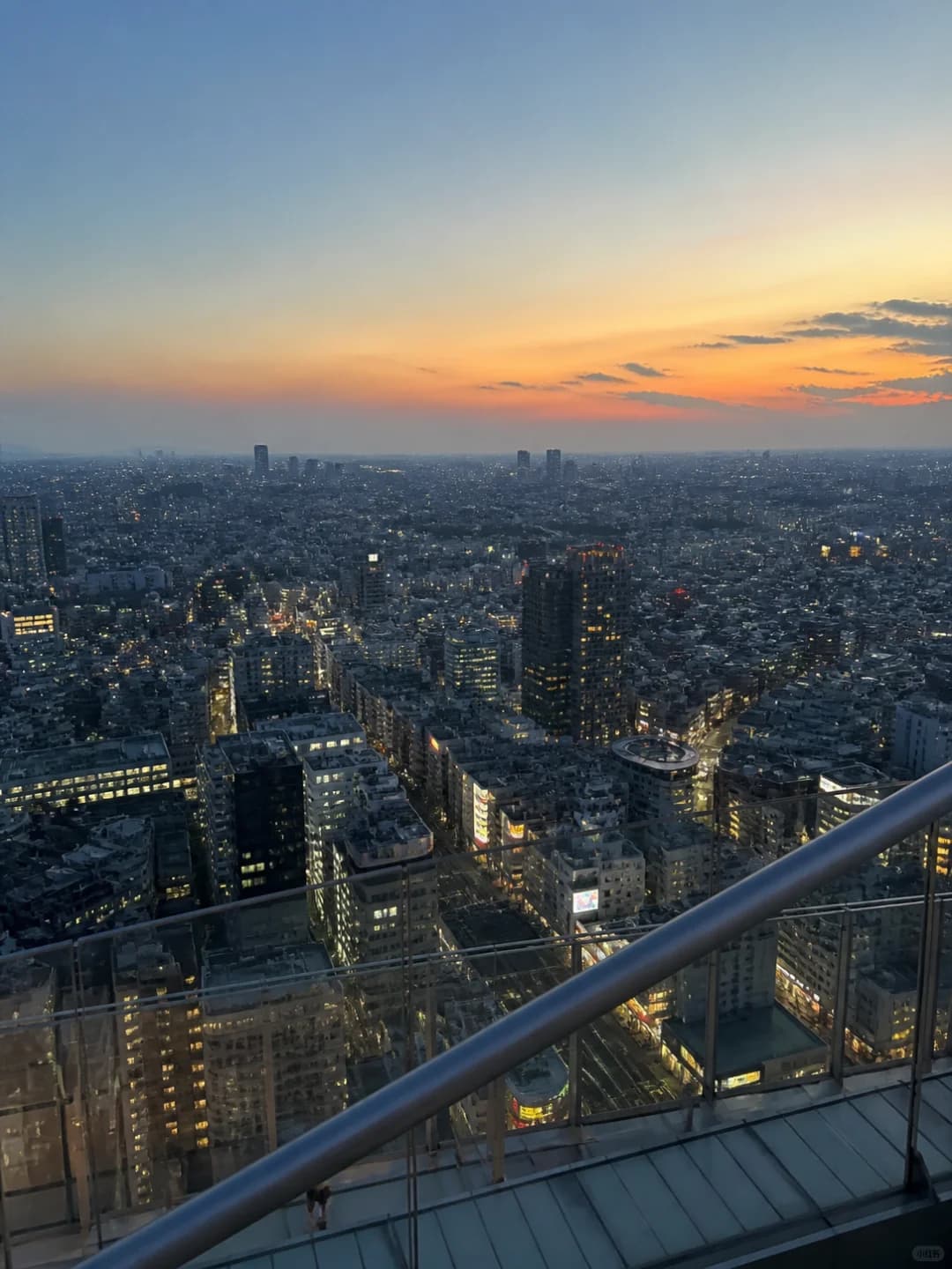 东京5天不赶路路线🗼第一次去照着走封面图
