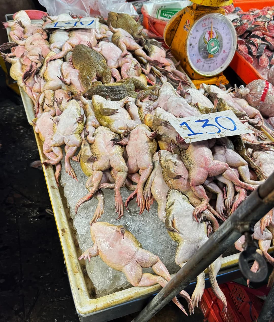 曼谷24小时不停歇的菜市场封面图