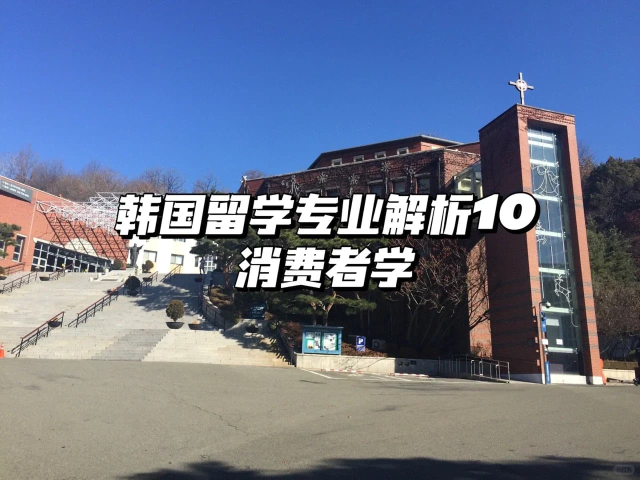 韩国🇰🇷留学 |专业解析10-消费者学封面图