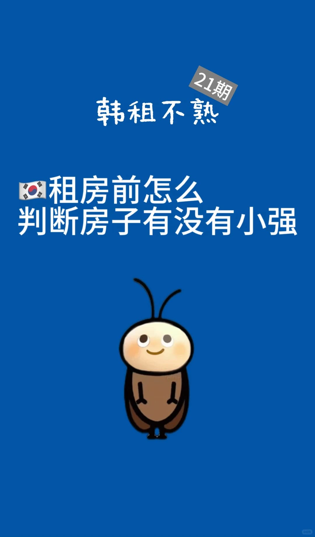 韩国租房前怎么检查会不会有蟑螂封面图