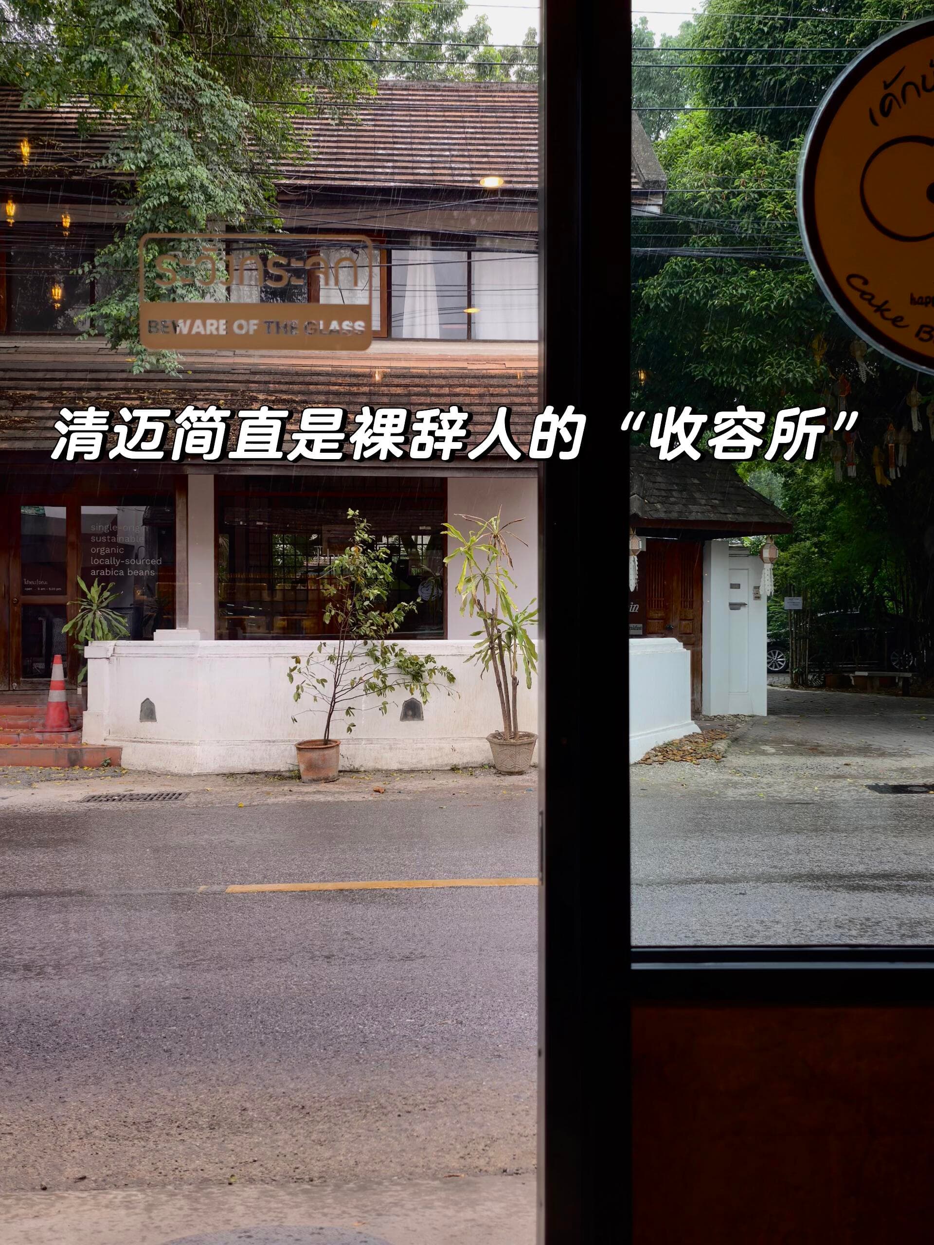 为什么辞职后大家都来清迈旅居封面图